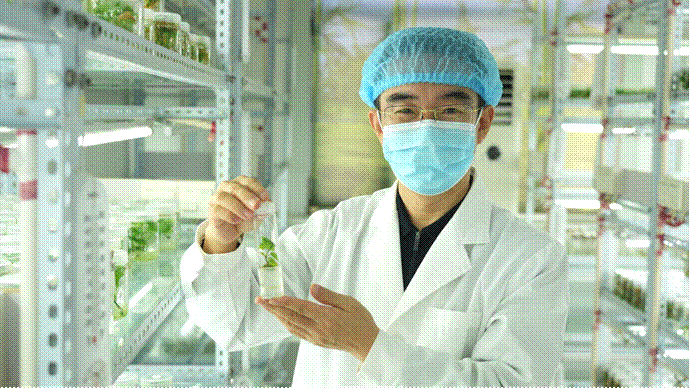 EVO����(�й���)��Ѷ����