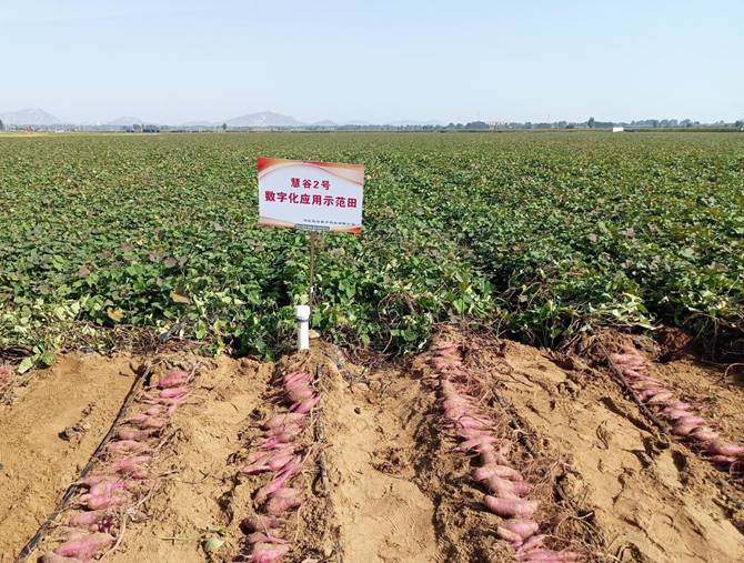 EVO����(�й���)��Ѷ����