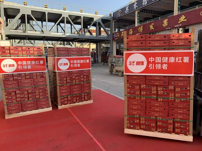 EVO����(�й���)��Ѷ����