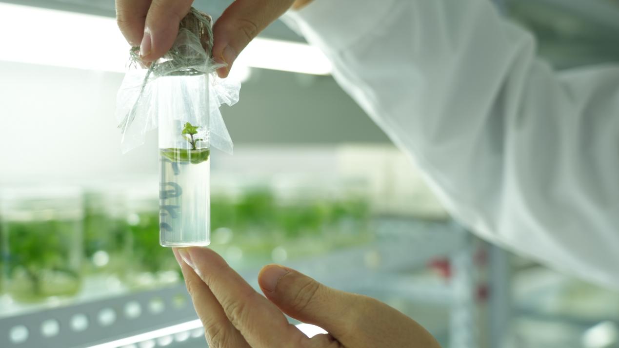 EVO����(�й���)��Ѷ����