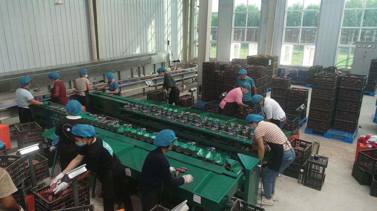 EVO����(�й���)��Ѷ����