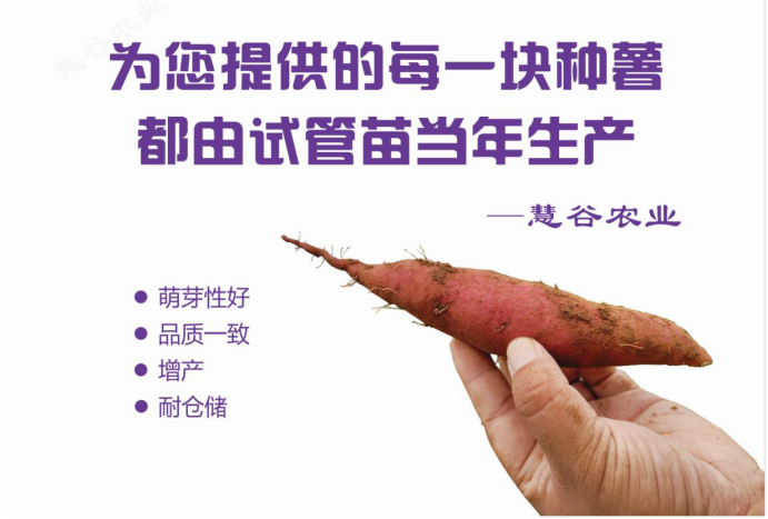 EVO����(�й���)��Ѷ����