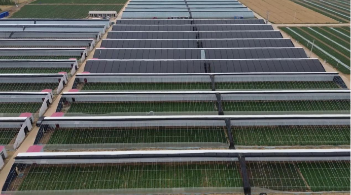 EVO����(�й���)��Ѷ����