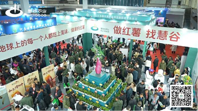 EVO����(�й���)��Ѷ����