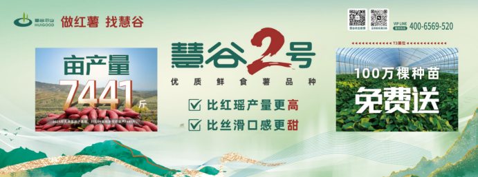 EVO����(�й���)��Ѷ����