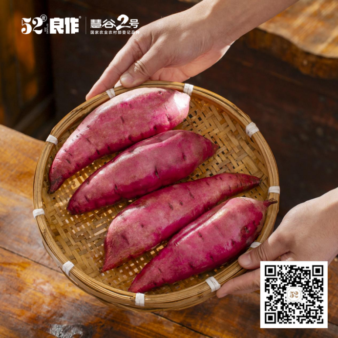 EVO����(�й���)��Ѷ����