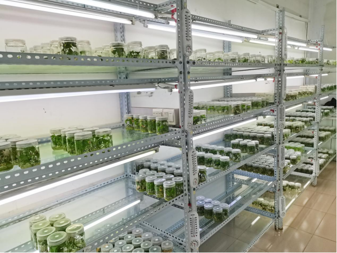 EVO����(�й���)��Ѷ����