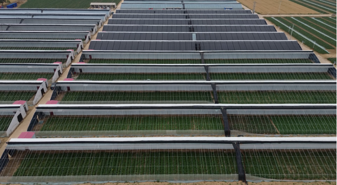 EVO����(�й���)��Ѷ����