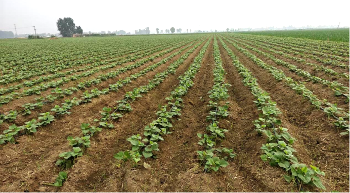 EVO����(�й���)��Ѷ����