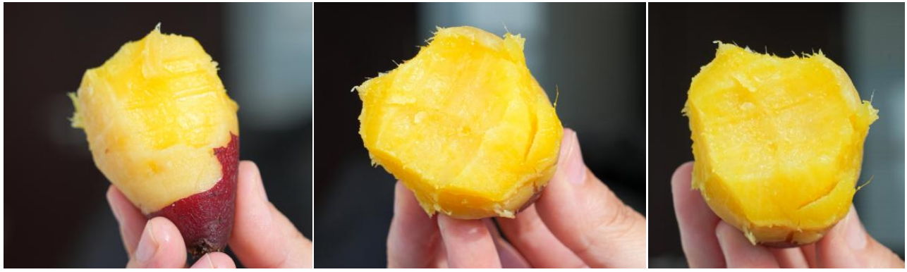 EVO����(�й���)��Ѷ����