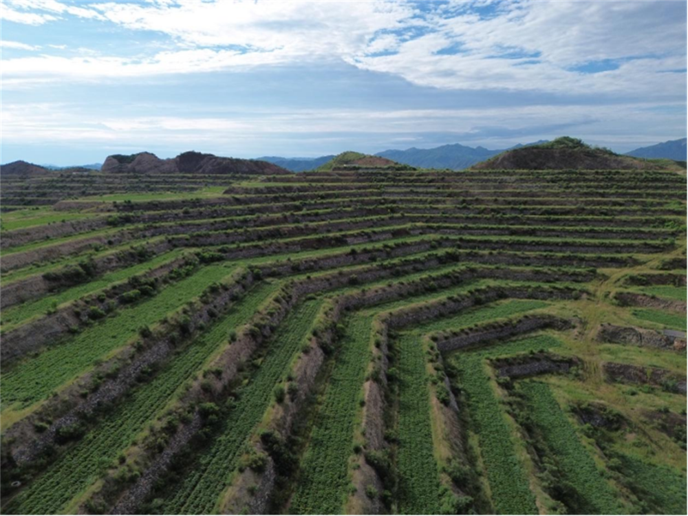 EVO����(�й���)��Ѷ����