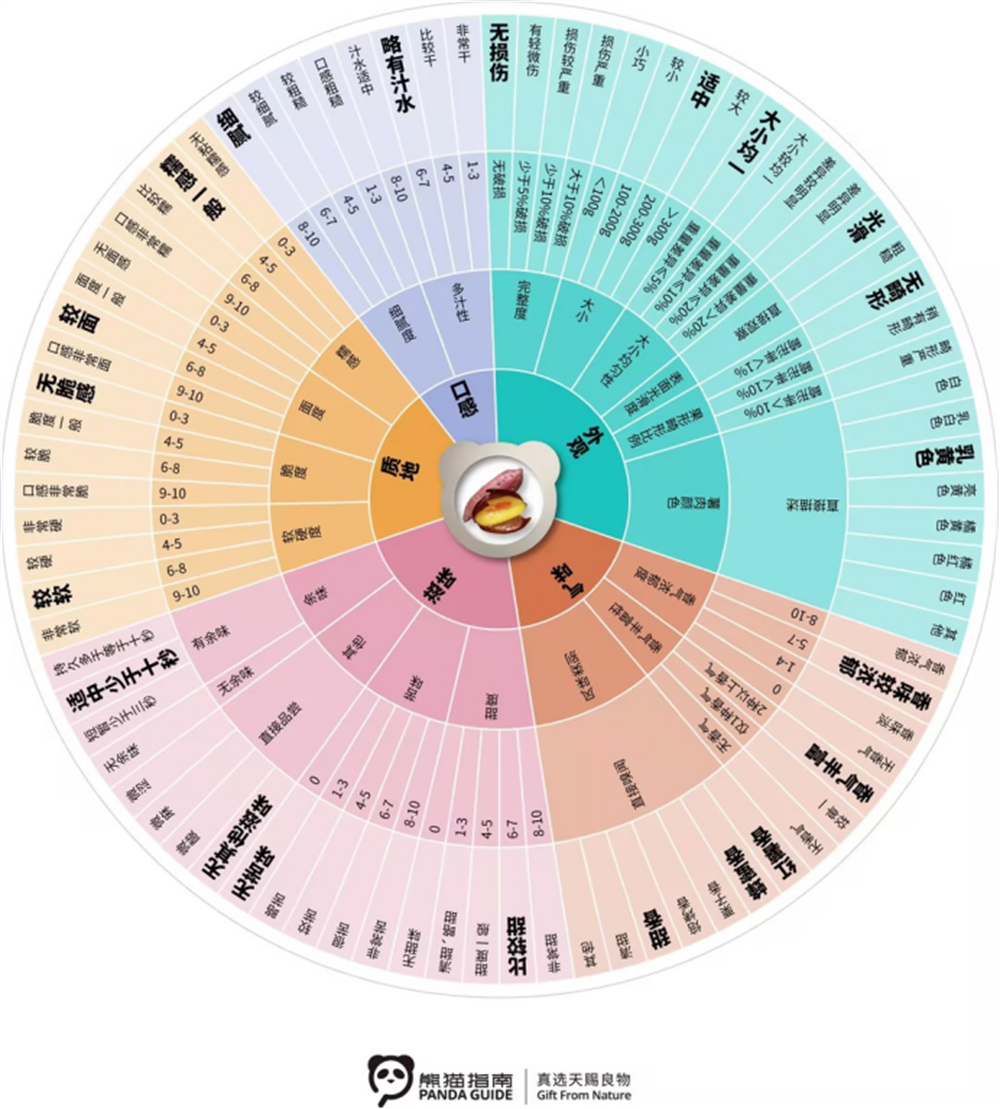 EVO����(�й���)��Ѷ����