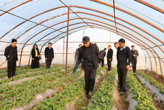 EVO����(�й���)��Ѷ����