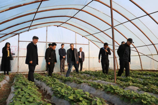 EVO����(�й���)��Ѷ����