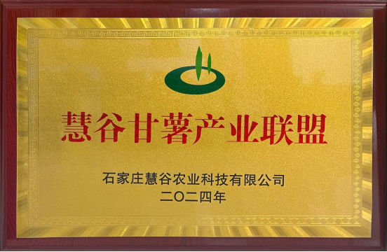 EVO����(�й���)��Ѷ����