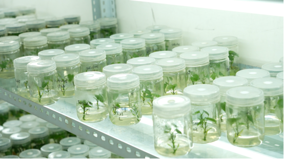 EVO����(�й���)��Ѷ����