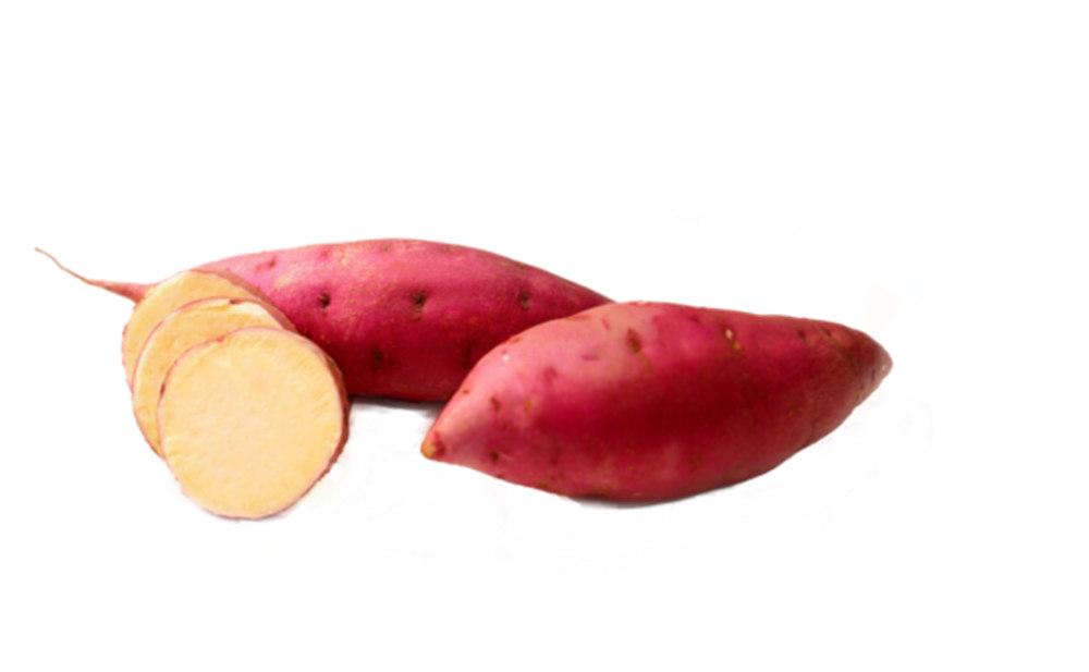 EVO����(�й���)��Ѷ����