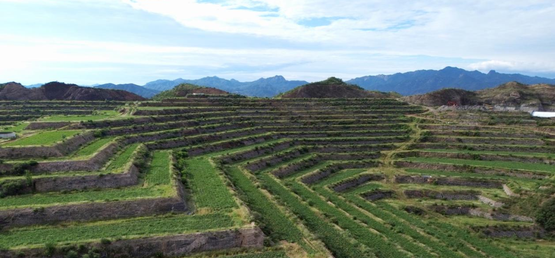 EVO����(�й���)��Ѷ����