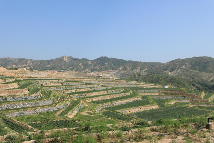 EVO����(�й���)��Ѷ����