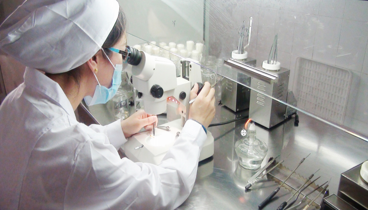 EVO����(�й���)��Ѷ����