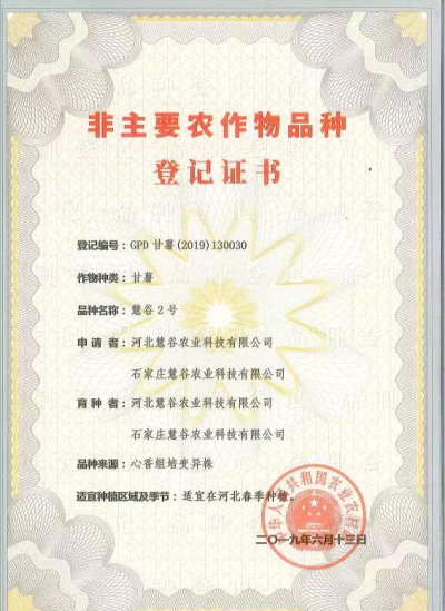 EVO����(�й���)��Ѷ����