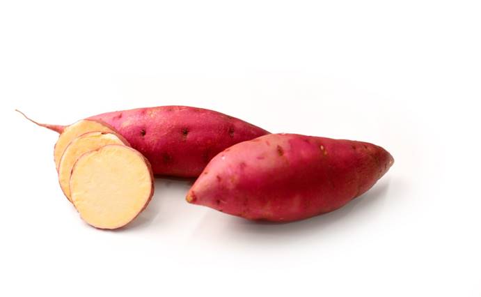 EVO����(�й���)��Ѷ����