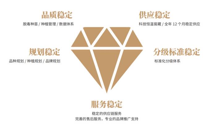 EVO����(�й���)��Ѷ����