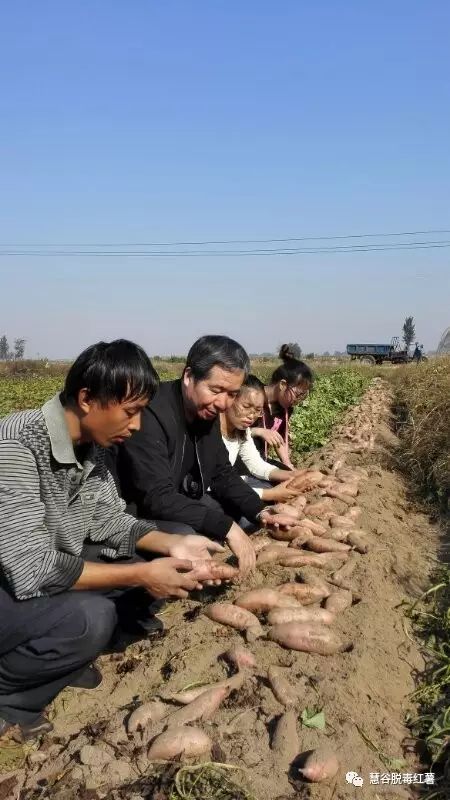 EVO����(�й���)��Ѷ����