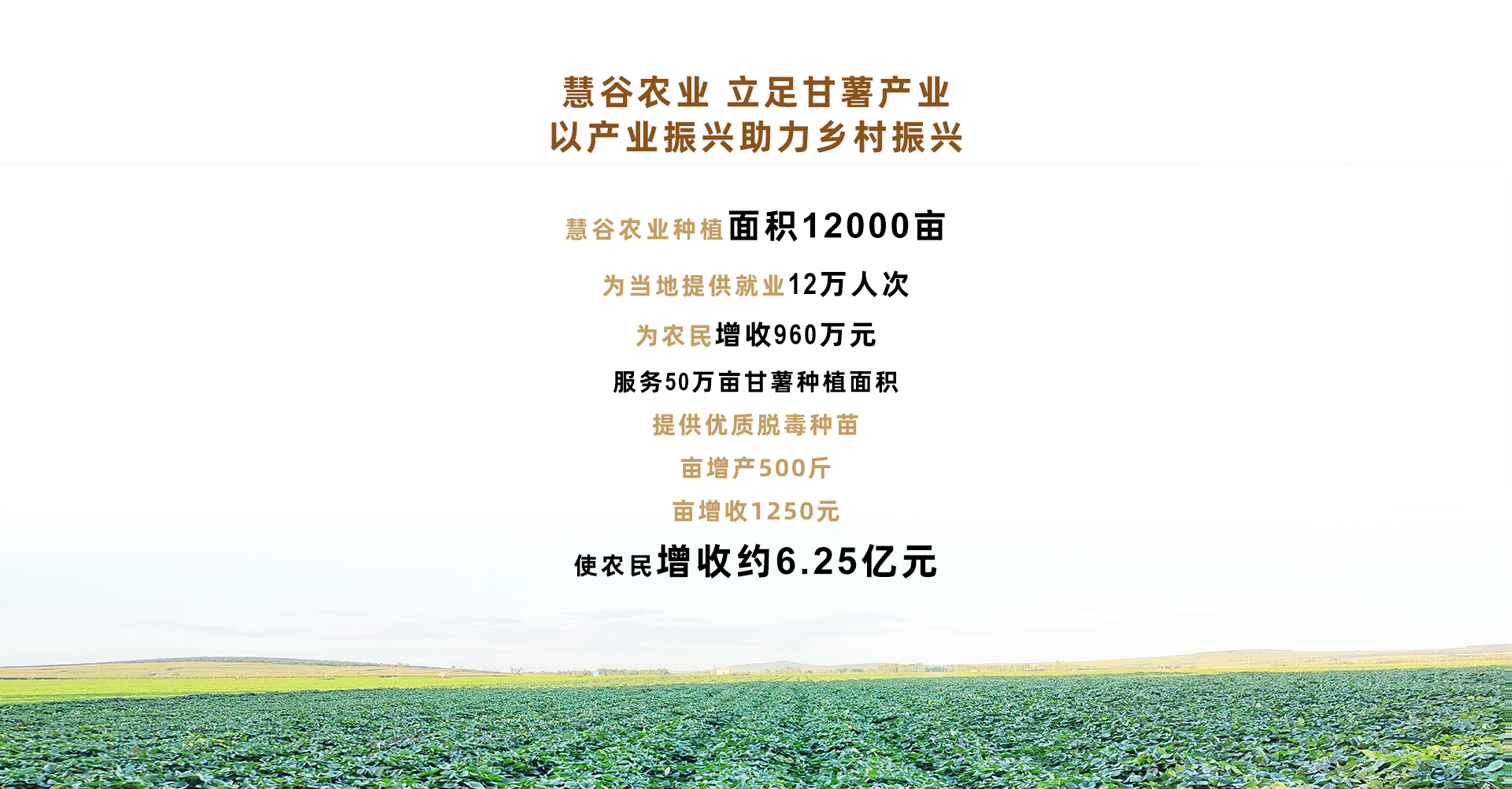 EVO����(�й���)��Ѷ����