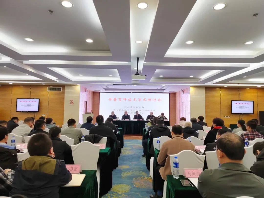 EVO����(�й���)��Ѷ����