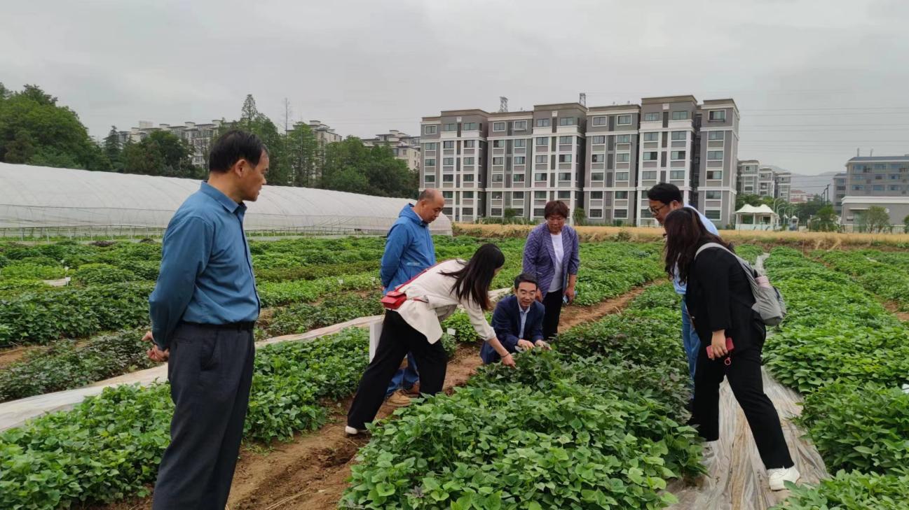 EVO����(�й���)��Ѷ����